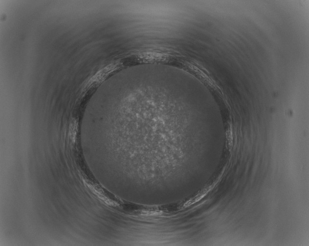 X0000082720458200702091817