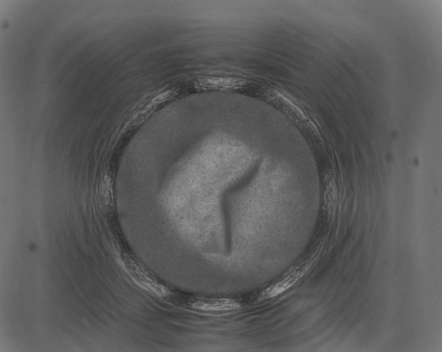 X0000082720459200702091817