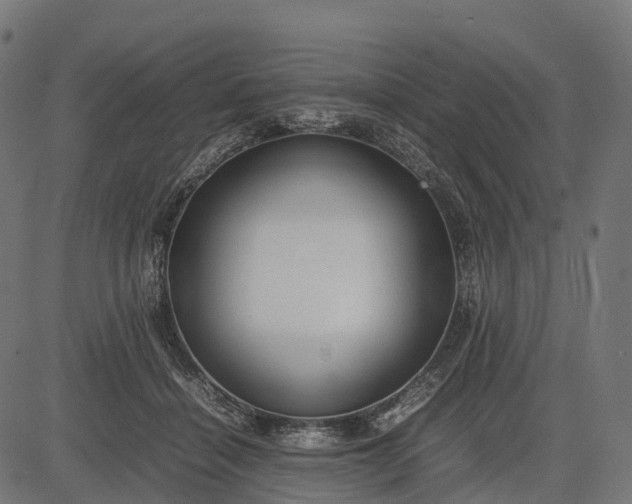 X0000082720460200702091817