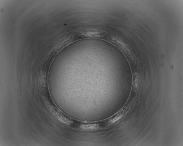 X0000082720461200702091817