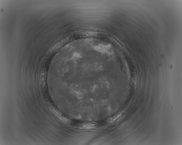 X0000082720462200702091817