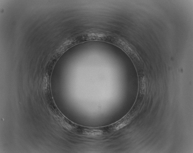 X0000082720463200702091817