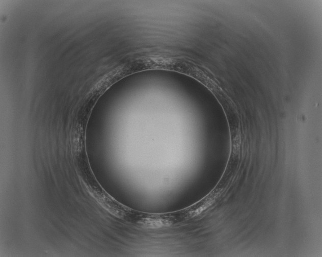 X0000082720464200702091817