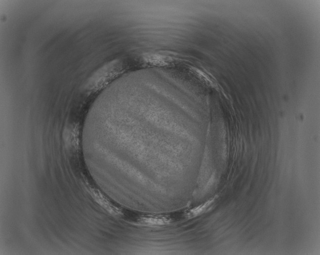 X0000082720466200702091817