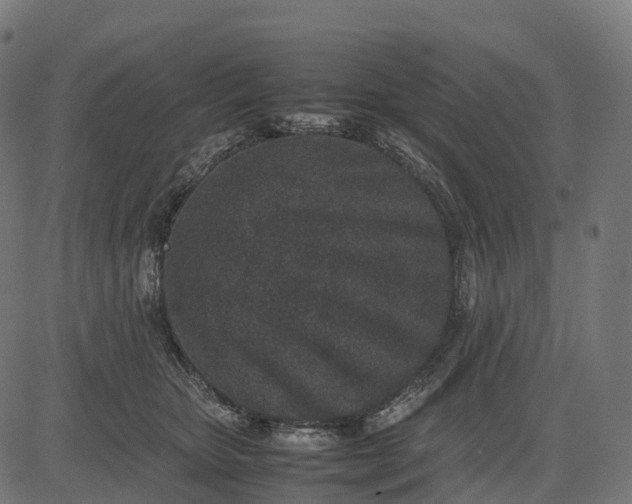 X0000082720467200702091817