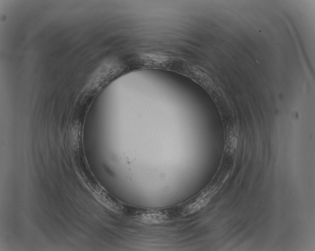 X0000082720468200702091817