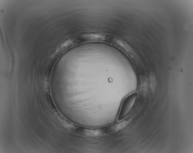 X0000082720469200702091817