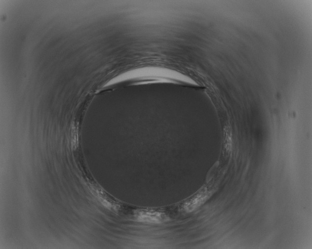 X0000082720471200702091817