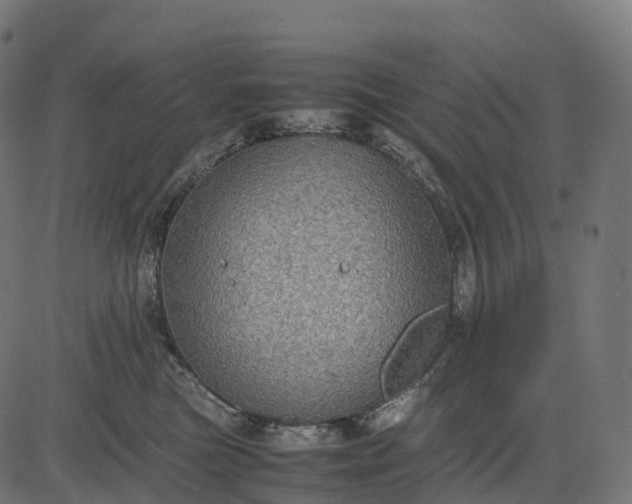 X0000082720473200702091817