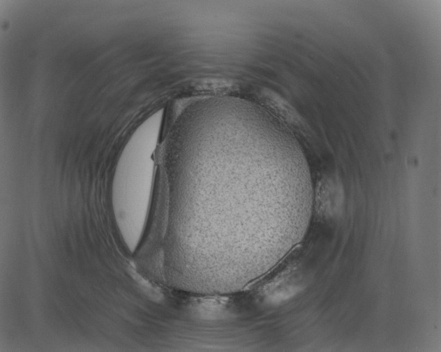 X0000082720474200702091817