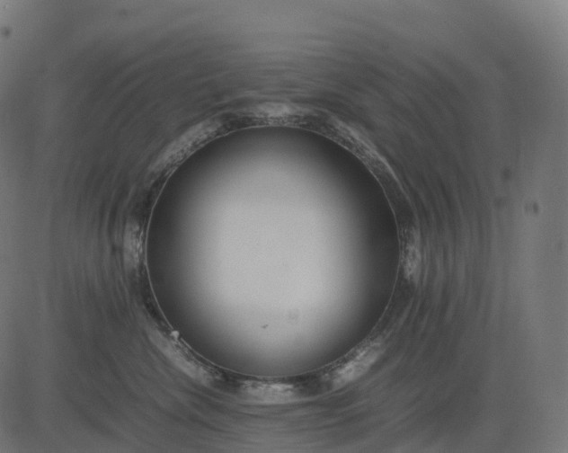 X0000082720476200702091817