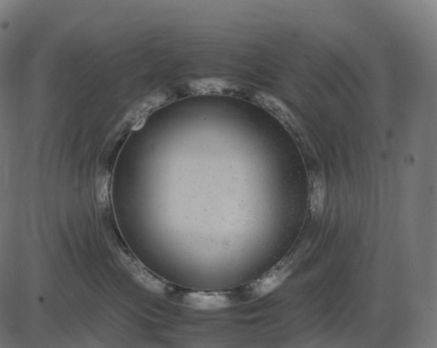 X0000082720477200702091817