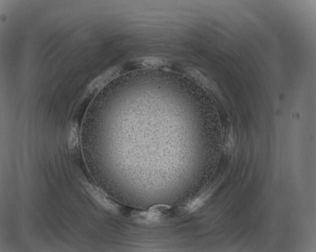 X0000082720478200702091817