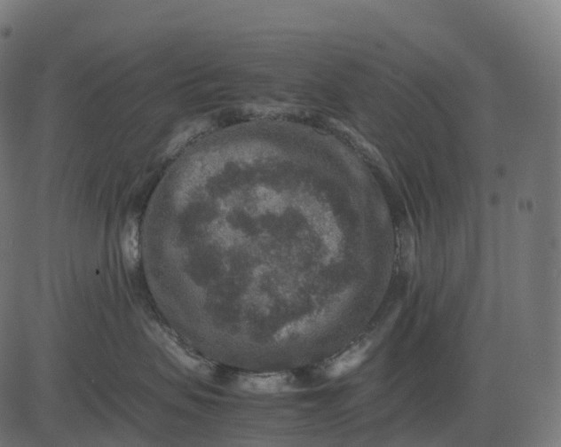 X0000082720479200702091817