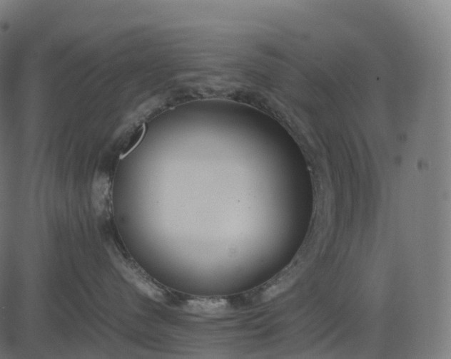 X0000082720480200702091817