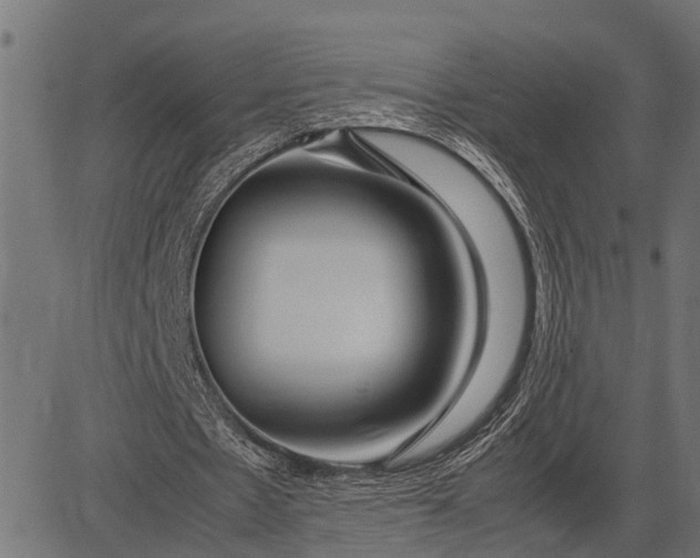 X0000082720481200702091816