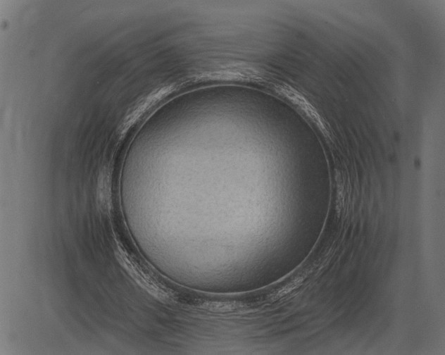 X0000082720482200702091816