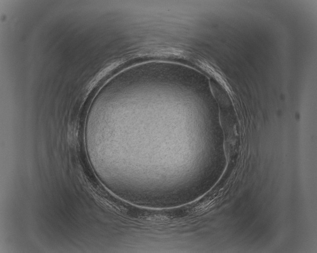 X0000082720483200702091816