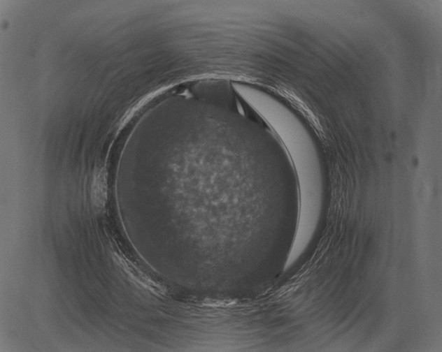 X0000082720484200702091816