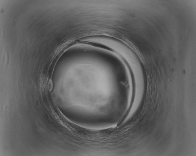 X0000082720485200702091816