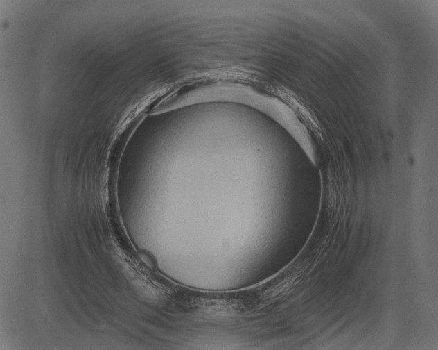 X0000082720486200702091816