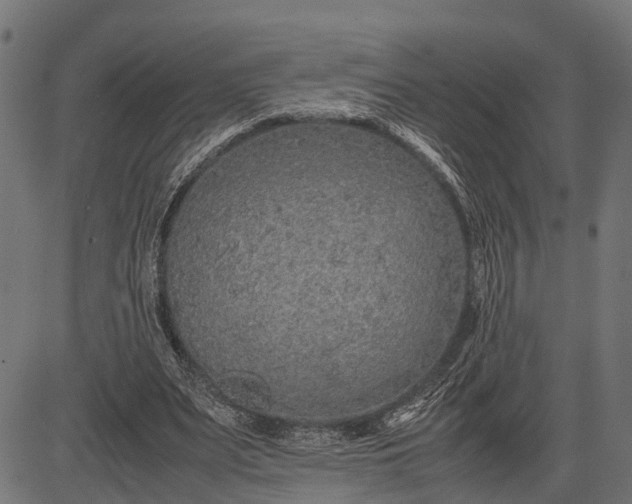 X0000082720487200702091816