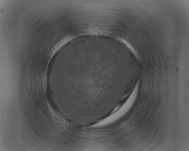 X0000082720488200702091816