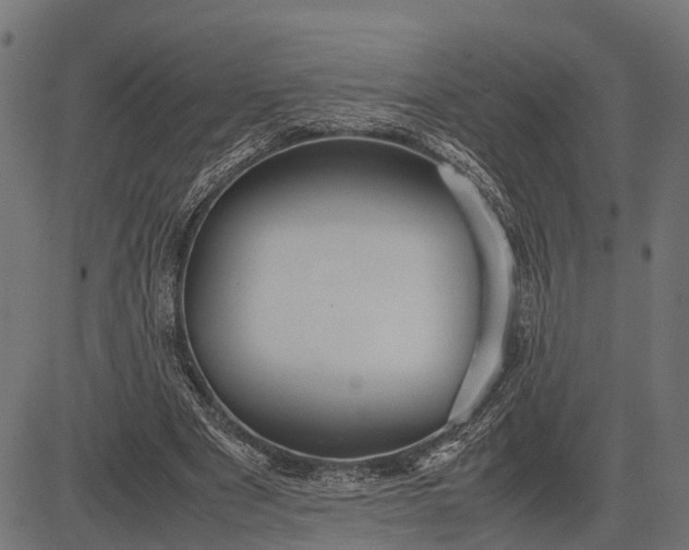 X0000082720489200702091816