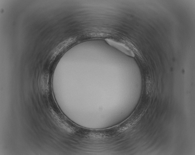 X0000082720490200702091816