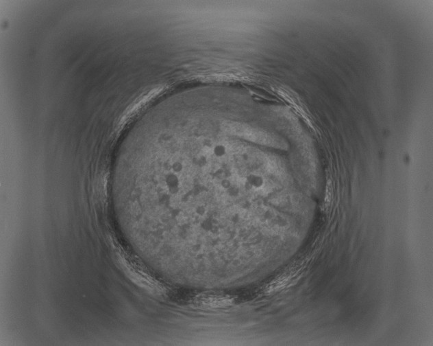 X0000082720491200702091816