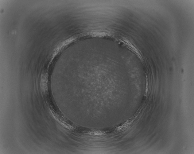 X0000082720492200702091816