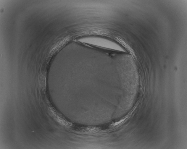 X0000082720493200702091816