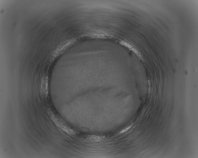 X0000082720494200702091816