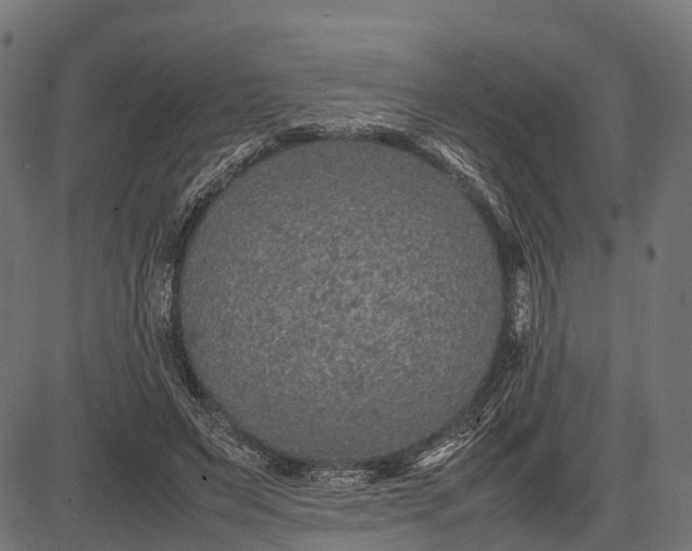 X0000082720495200702091816