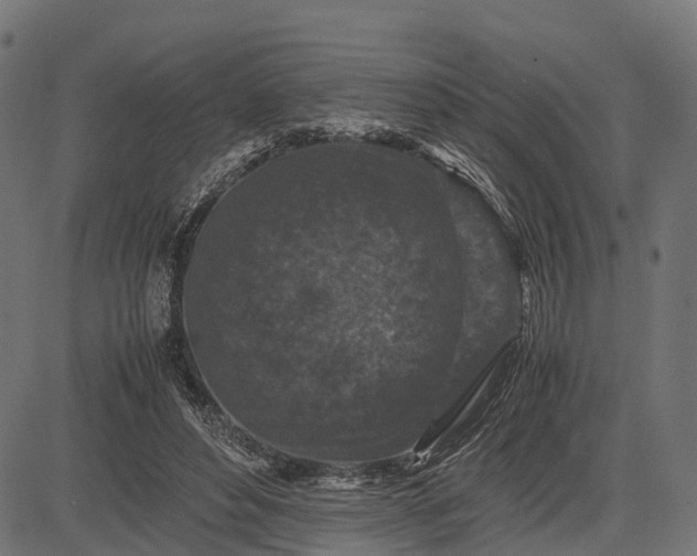 X0000082720496200702091816