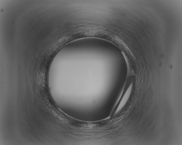 X0000082720497200702091816