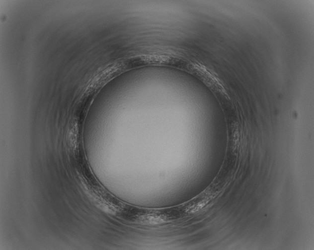 X0000082720498200702091816