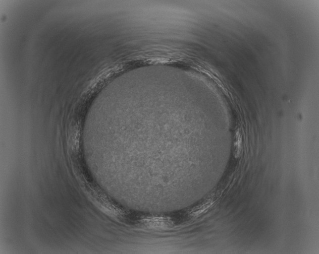 X0000082720499200702091816