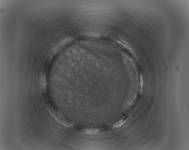 X0000082720500200702091816