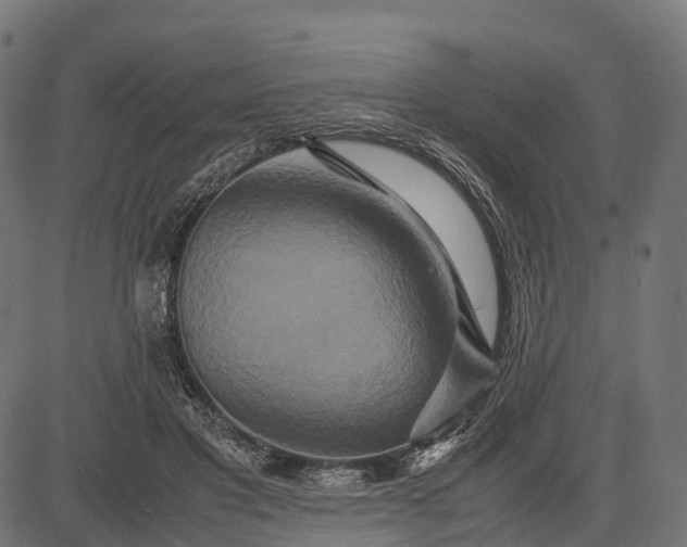 X0000082720501200702091816