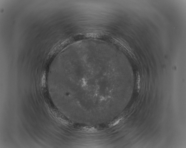 X0000082720502200702091816