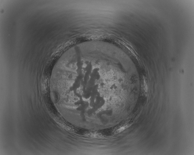 X0000082720503200702091816