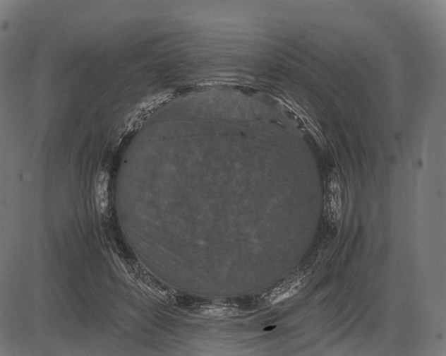 X0000082720504200702091816