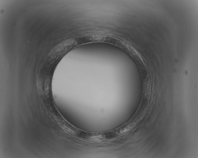 X0000082720505200702091816