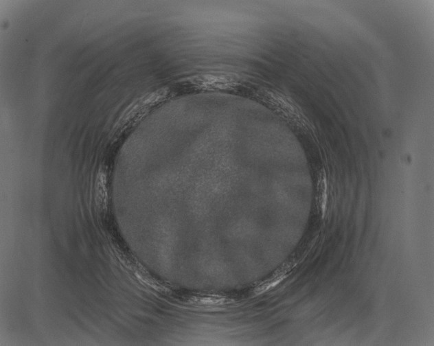 X0000082720506200702091816