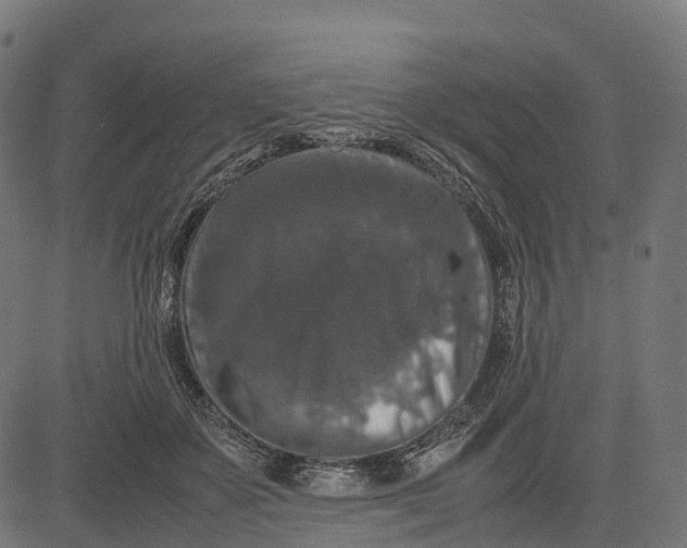 X0000082720507200702091816