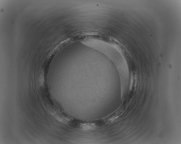 X0000082720508200702091816