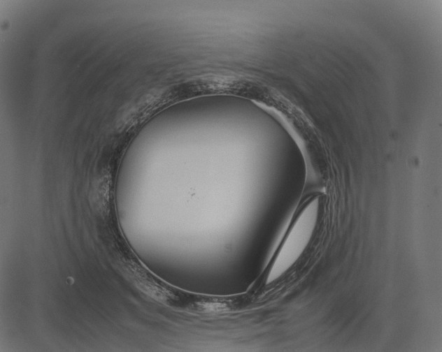 X0000082720509200702091816