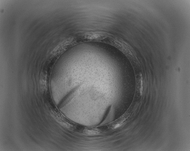 X0000082720510200702091816