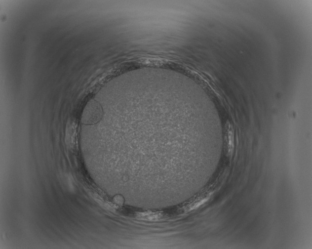 X0000082720511200702091816